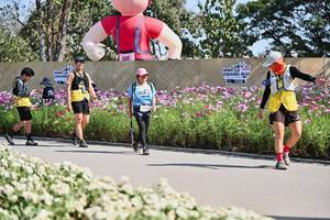 BIB: 
                            <button type="button" onclick="openModal(27805420)" class="btn btn-primary btn-sm float-right btn-popup" data-toggle="modal" data-target=".modal-high-quality">
                        <i class="fas fa-shopping-cart"></i> Add to Cart
                    </button>
                                            <button type="button" onclick="isThisMe(27805420, true)" class="btn btn-success btn-sm float-right btn-popup btn-isme hidden" data-toggle="tooltip" data-placement="bottom" title="นี่คือรูปของคุณใช่ไหม คลิกที่นี่เพื่อเอาเข้าอัลบั้ม">
                        <i class="fas fa-plus"></i> Add to album
                    </button>
                    <button type="button" onclick="isThisMe(27805420, false)" class="btn btn-warning btn-sm float-right btn-popup btn-isnotme hidden">
                        <i class="fas fa-ban"></i> Remove from album
                    </button>